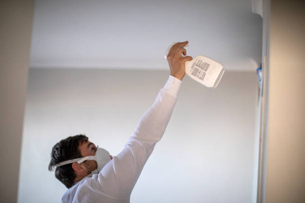 Best Water Damage Restoration  in Kensington, MD