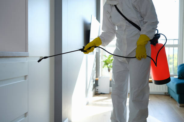 Best Mold Testing  in Kensington, MD