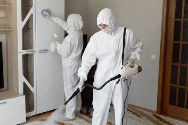Best Certified Mold Removal  in Kensington, MD