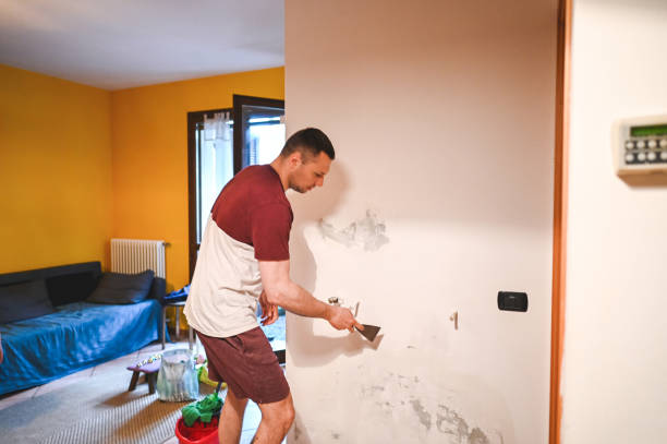 Best Mold Removal and Inspection  in Kensington, MD